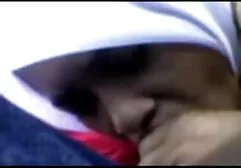 کامل کوسهای چاق و خواب آلود